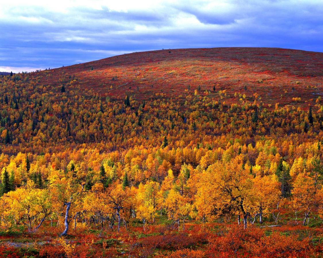 Lapland Hotels Saaga Ylläsjärvi Buitenkant foto